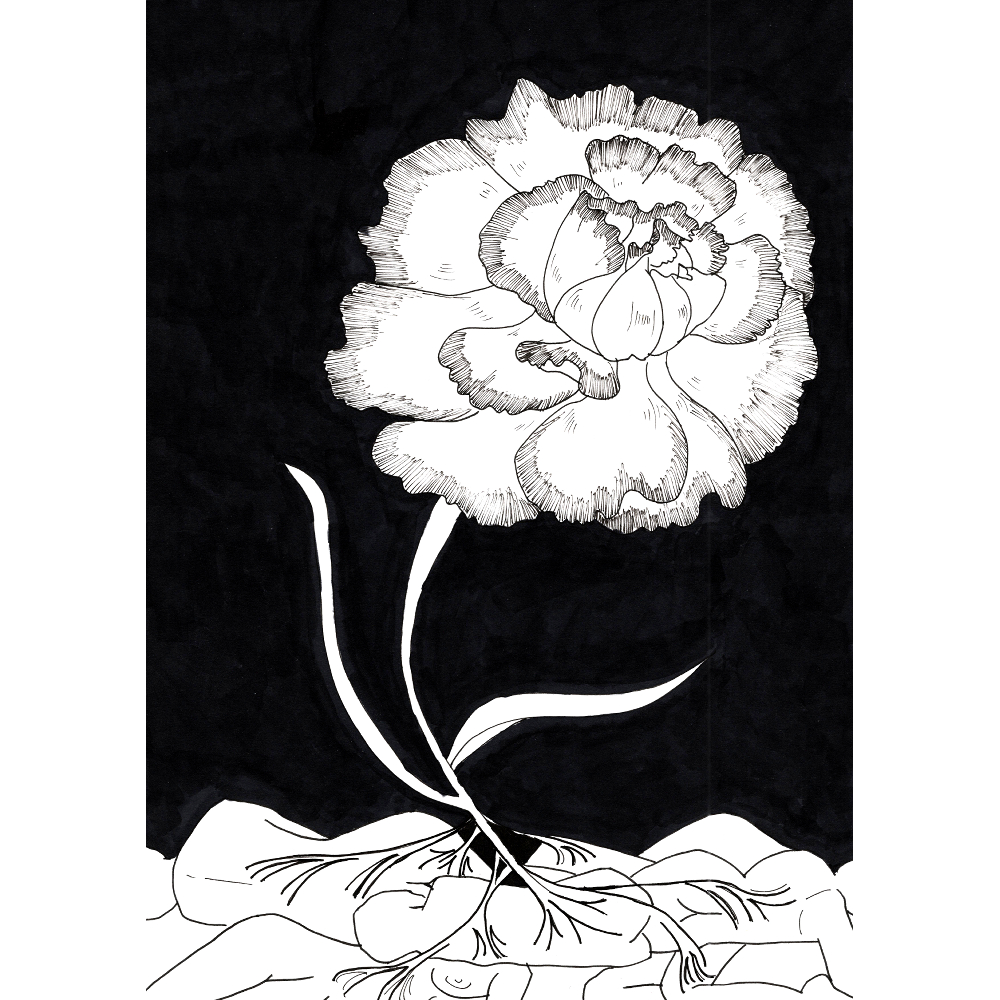 walker_circle's tweet photo. 在什麼之上盛開呢？

Bloom on what?

making of: https://t.co/Dvrggvn7Wq
online shop：https://t.co/oKDwOb7Dp5

#ink #blackandwhite #blackwhite #body #human #plant #墨 #墨水 #花 #人體 #植物 #黑白 https://t.co/npz6NIUARs