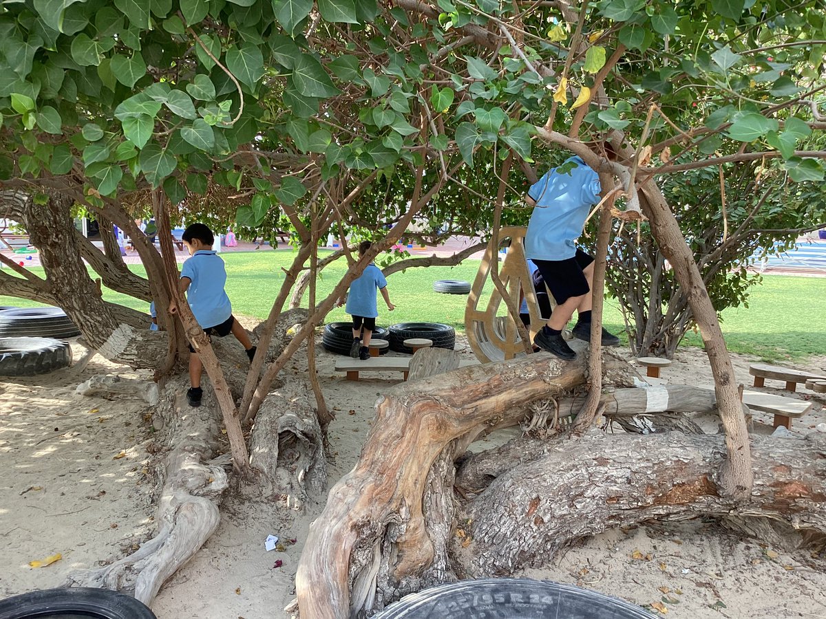 JESSjumeirahFS1's tweet photo. Our beautiful grounds @JESSJumeirah enable us to develop our gross motor control in a beautiful natural environment. 🍃 #JESSJumLearning #Learningthroughplay https://t.co/ErJBCIAZSj