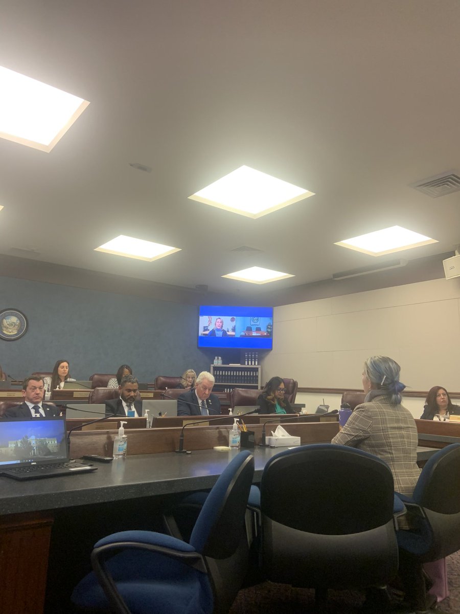 Thanks to <a href="/VoteSarahPeters/">Sarah Peters</a> for putting the Green Amendment on the table for Nevadans. All Nevadans deserve a healthy environment, and AJR3 would help us achieve that. #nvleg