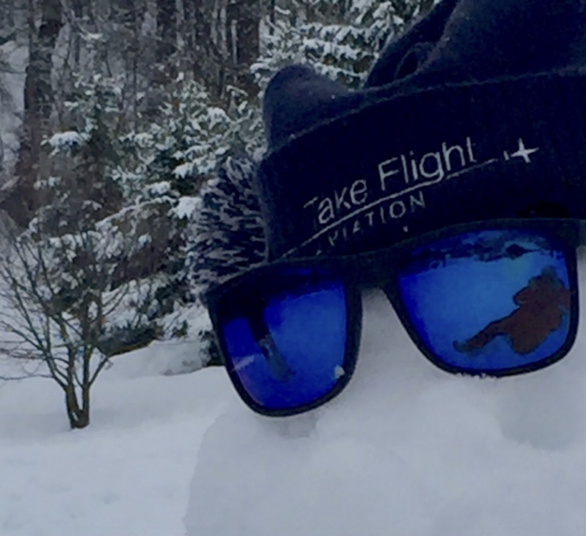 Take Flight Aviation tweet media