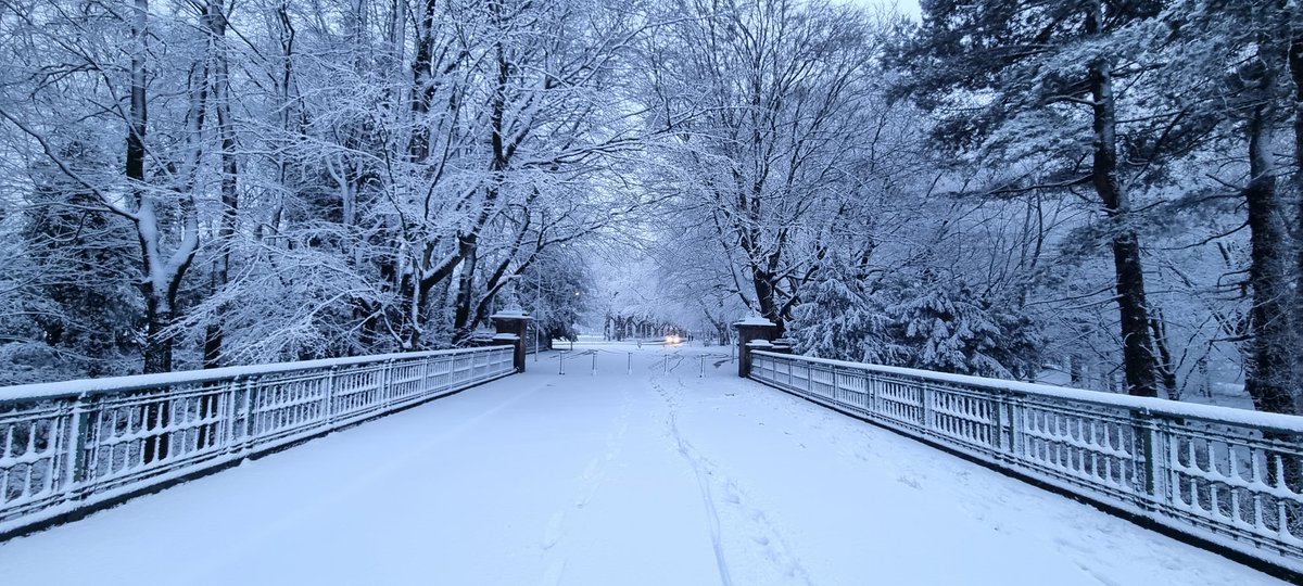 Sefton Park this morning🥶👍 <a href="/angiesliverpool/">Angies Liverpool</a>