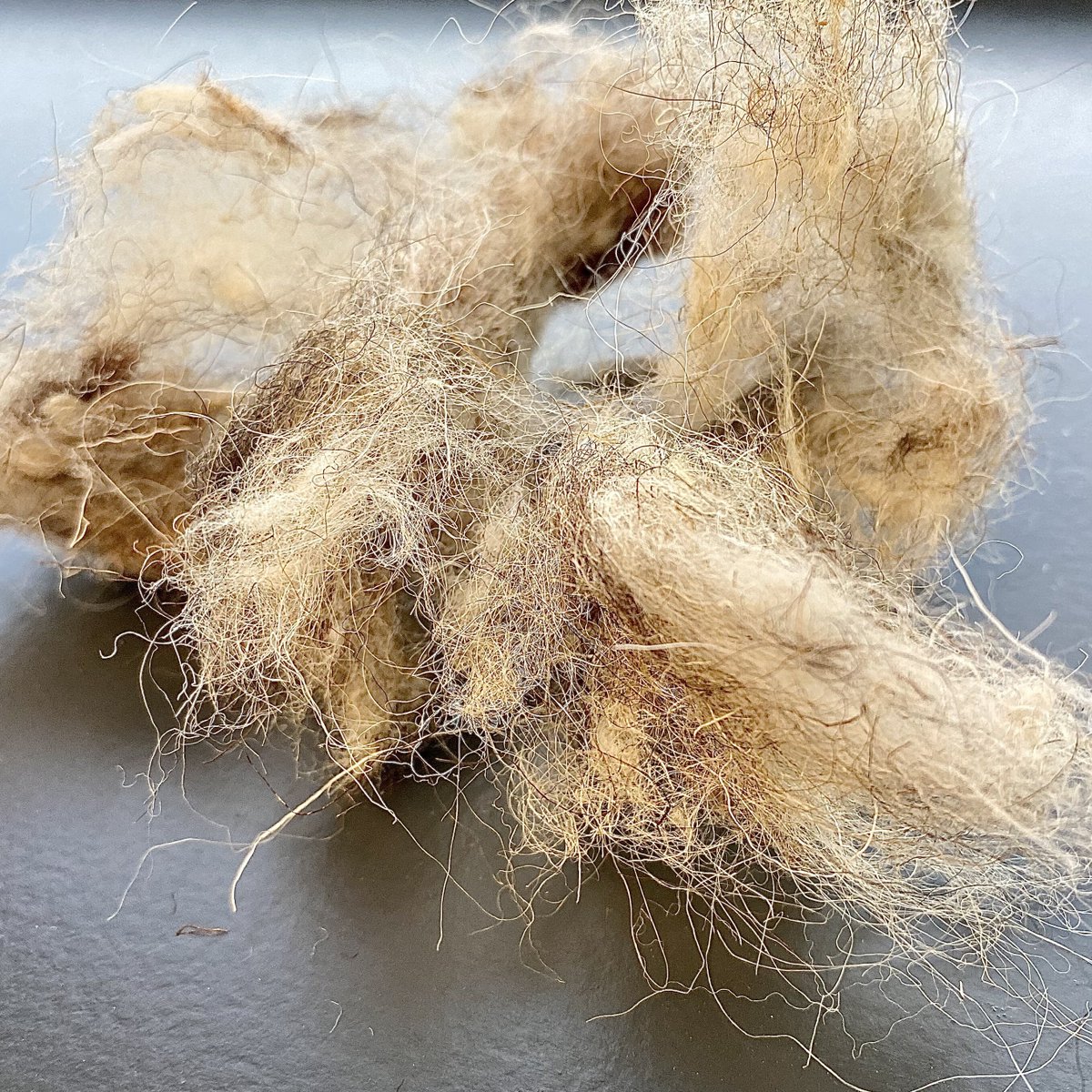 WeAreWoolcool's tweet photo. Wool is AMAZING - everyone knows how cosy a woolly jumper is, but did you know that wool has scales which breathe in moisture, a crimp which helps to trap air, and antimicrobial properties, under a microscopic level? ๐ฌ
What's your favourite wool fact? ๐
#woolcool #woolfacts https://t.co/SBQZpNPZFP