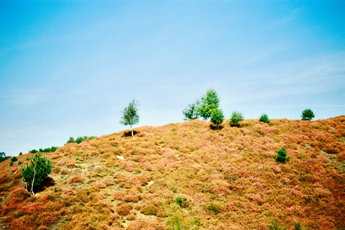 'rust hill' 

🌞🌄🌞

// #limited edition on #standalone contract 
// (2/3) 2.22 $XTZ 

raw #colours of nature on #film 🎞️. Yashica FX-3 (1980) & Lomography CN400 

#NFT #Tezos #TezosNFT #nftphotography #filmphotography #lomography #objktunlocked