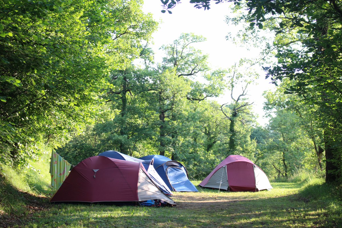 Campaments i Més tweet media