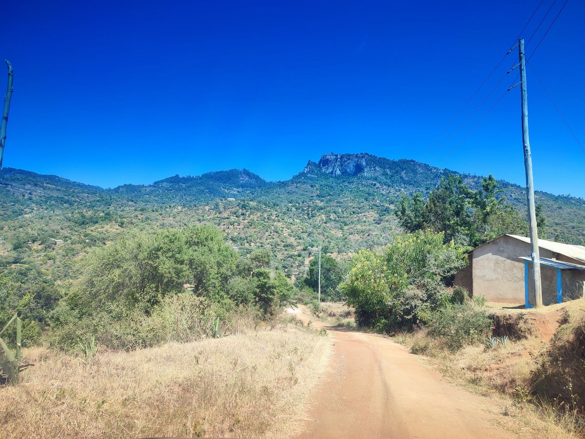 Mwalale mkawuka? <a href="/taitamusa1/">Collins M Mwakio</a> @TaitaTweeps Kwaela!