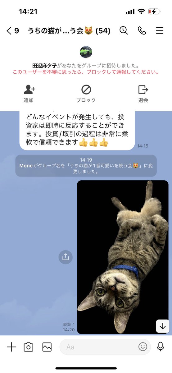 m_monitan's tweet photo. 鼠講みたいな怪しいグループラインに
招待されたからグループ名
うちの猫が1番可愛いを競う会😻
に変更しときました！
みんな猫ちゃんの写真くれるかなぁ〜？ https://t.co/TmORNZMOUu