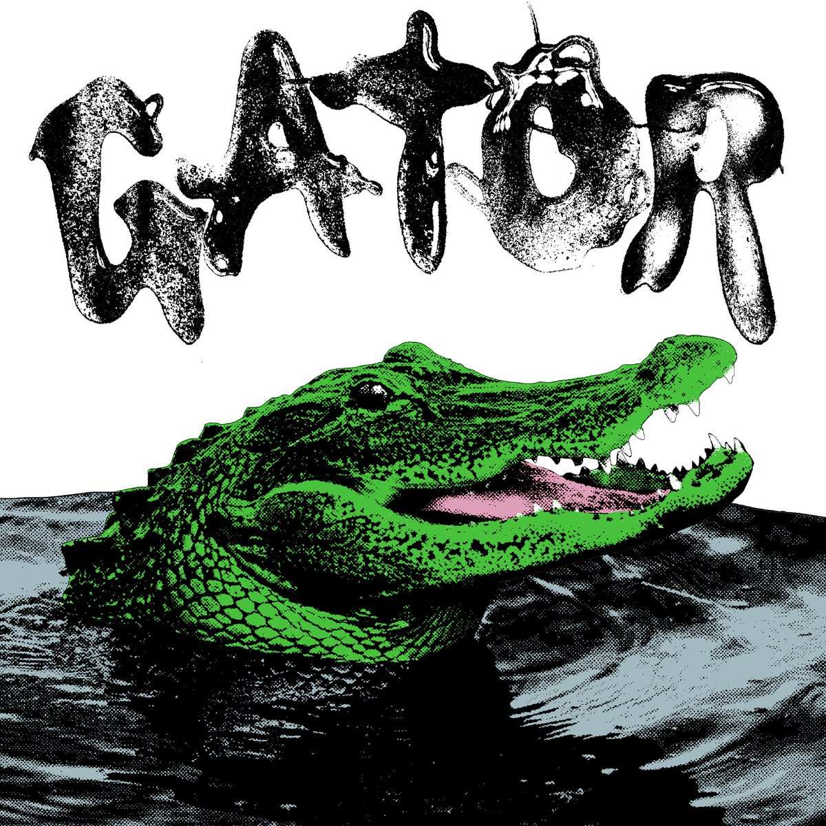 Pouyalilpou's tweet photo. GATOR my 5th and final album is out now. I worked very hard on this album and I hope you guys enjoy it. The link is in my bio. Thank you @whoisdelmar and @mikeythemagician for production. As well as @bagel_boiii for help with track 1 and @prod7oh2 with the Gravy track (1/2) https://t.co/p8h20oeTiD