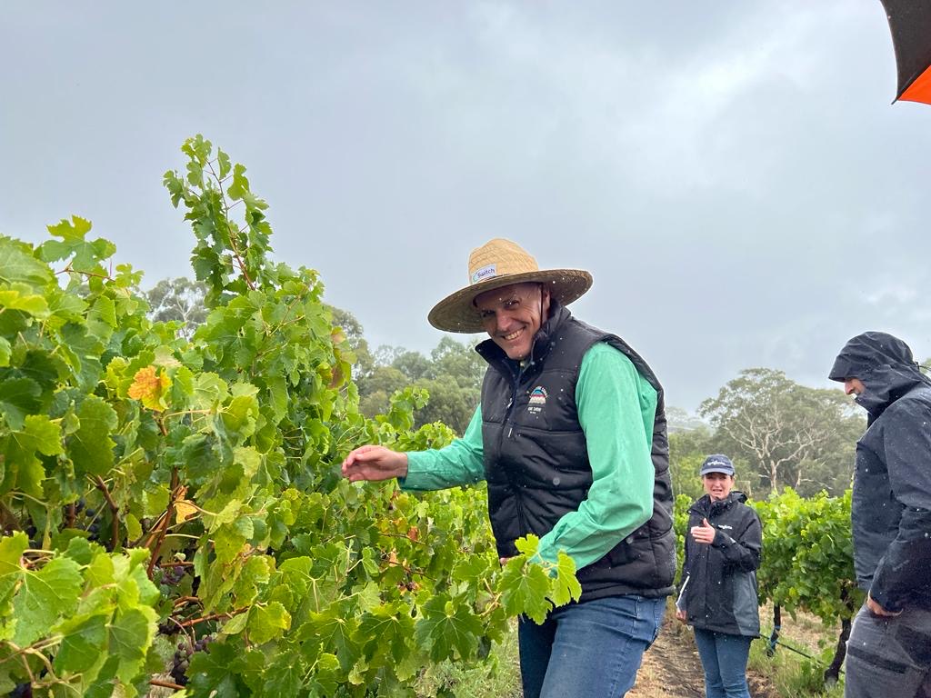 SyngentaANZ's tweet photo. Sharing the results from three new viticulture fungicides with @NutrienAgRetail agros at this week's Syngenta Learning Centre in the Adelaide Hills, including a biological for late season control of botrytis and powdery mildew #viticulture https://t.co/7db7Zp7T6N