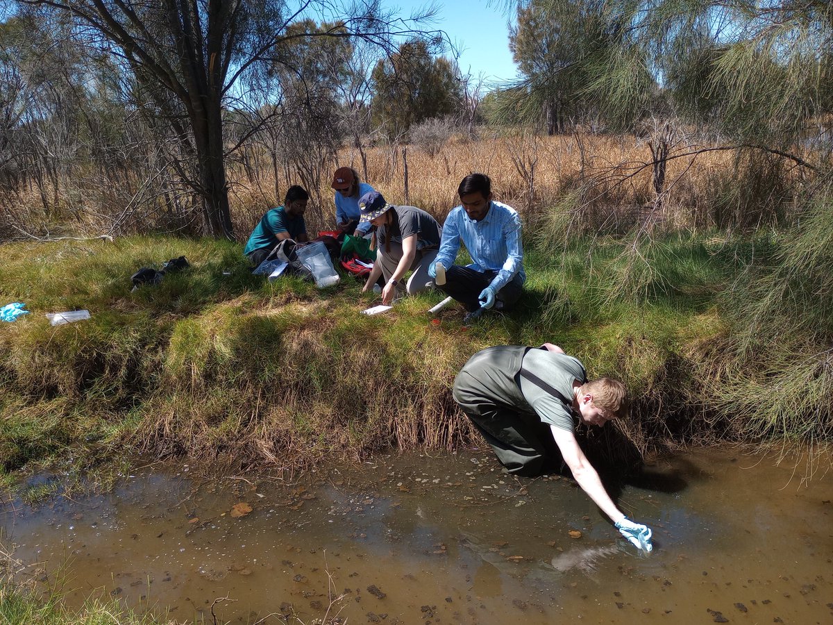 👨‍🔬Andrew Rate 🌏💚 tweet media