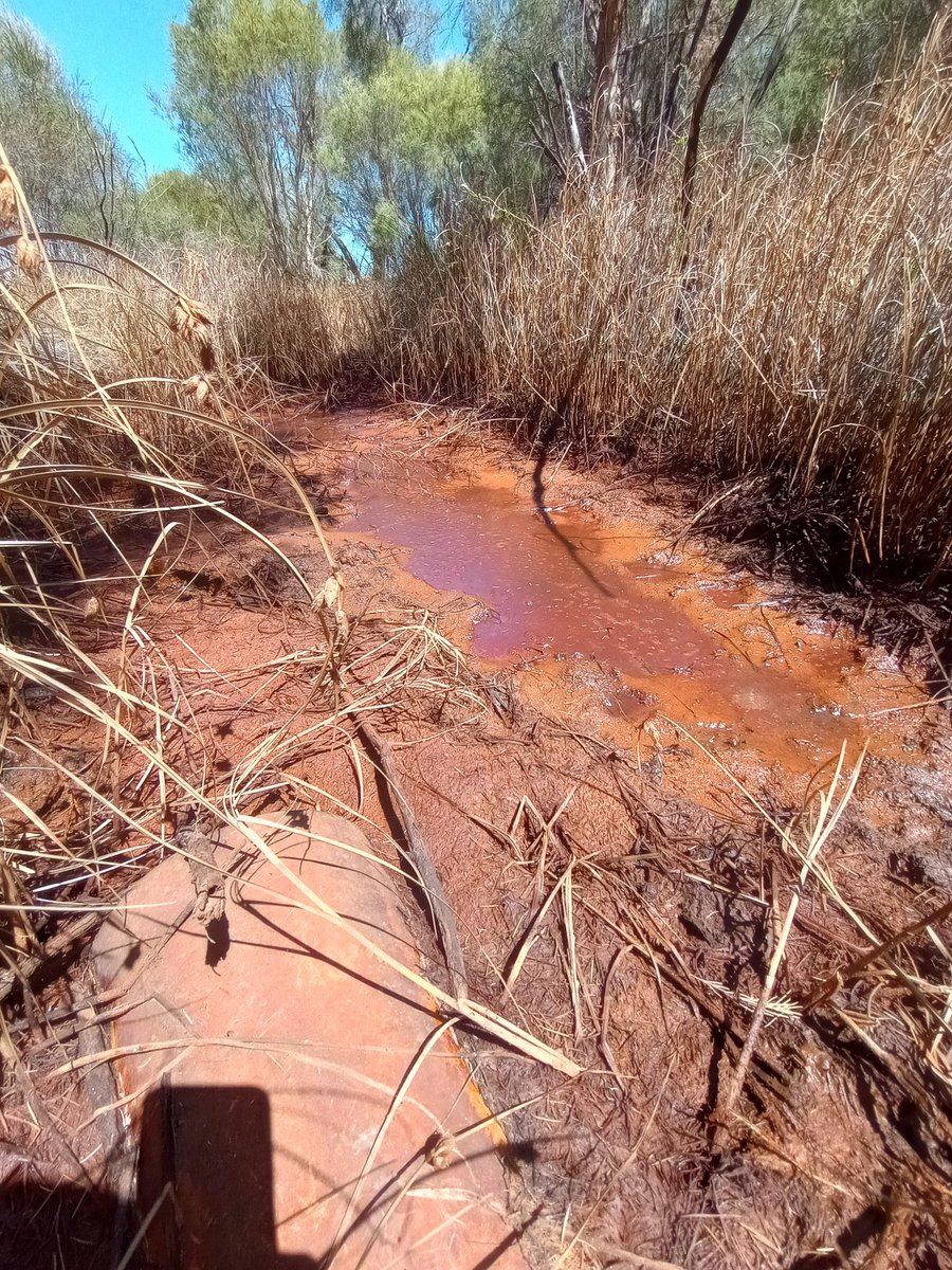 👨‍🔬Andrew Rate 🌏💚 tweet media