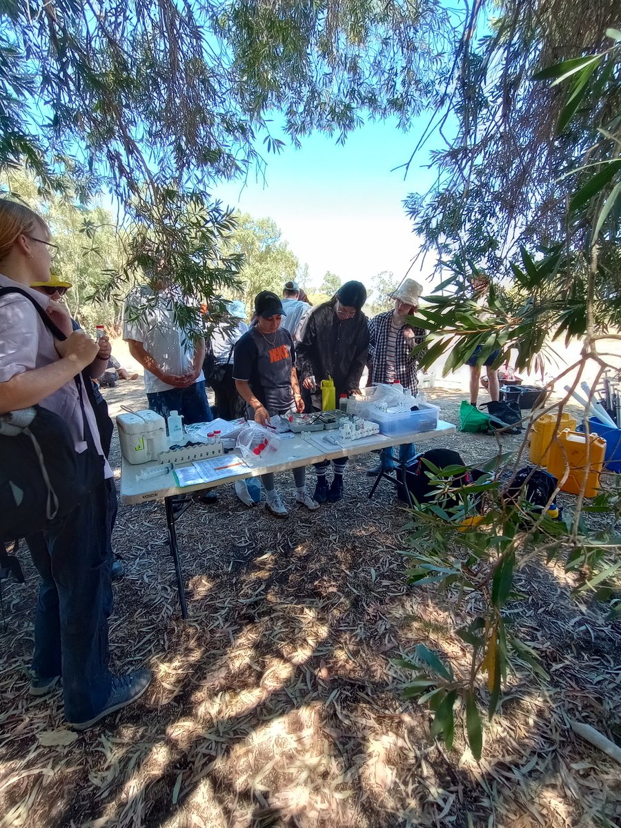 ๐จโ๐ฌAndrew Rate ๐๐ (@drandrewrate) on Twitter photo Nearly finished the annual #environmentalscience #fieldtrip with <a href="/UWA_students/">UWA Students</a> from <a href="/SAgE_UWA/">UWA SAgE</a> at #AshfieldFlats with <a href="/Degleeson/">Deirdre Gleeson</a> @Obernique <a href="/emielda_y/">EmieldaY</a> <a href="/FalkoMathes/">Falko Mathes</a> <a href="/UWAresearch/">UWA Research</a> <a href="/uwanews/">UWA</a> Nearly finished the annual #environmentalscience #fieldtrip with <a href="/UWA_students/">UWA Students</a> from <a href="/SAgE_UWA/">UWA SAgE</a> at #AshfieldFlats with <a href="/Degleeson/">Deirdre Gleeson</a> @Obernique <a href="/emielda_y/">EmieldaY</a> <a href="/FalkoMathes/">Falko Mathes</a> <a href="/UWAresearch/">UWA Research</a> <a href="/uwanews/">UWA</a>