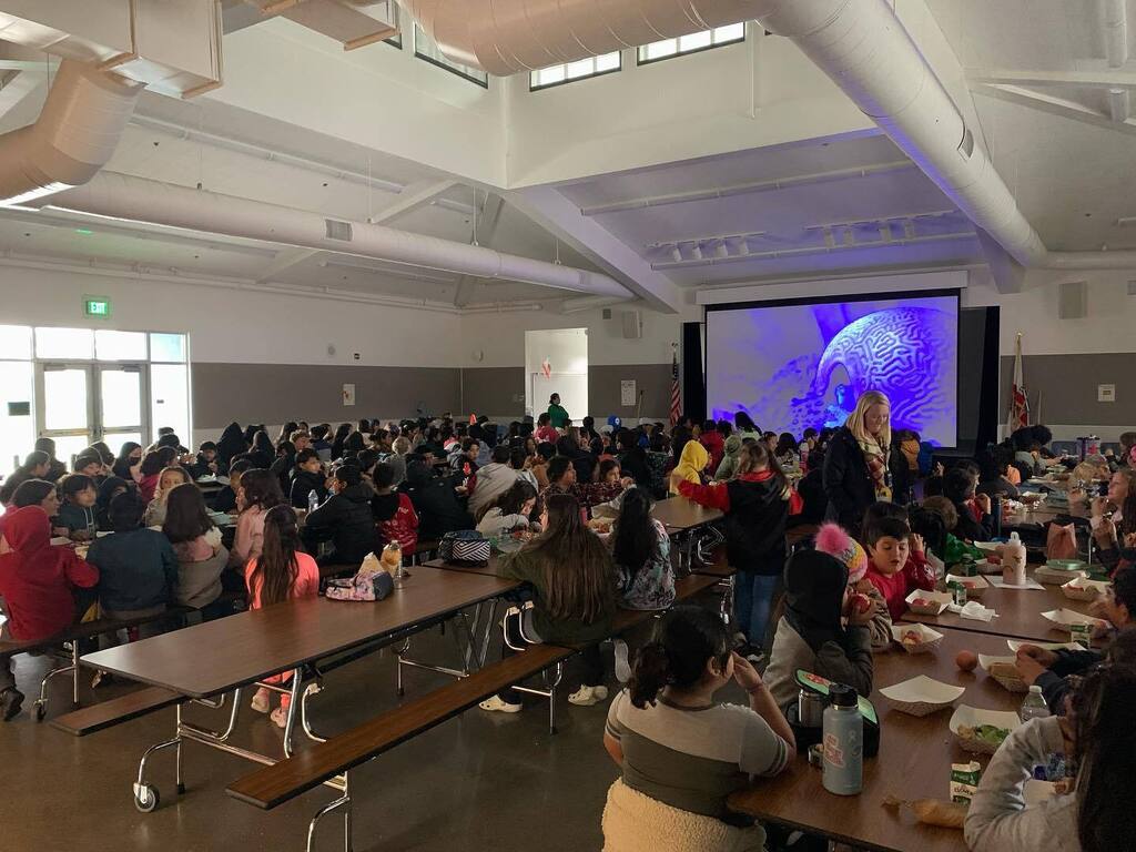 Napa Junction tweet media