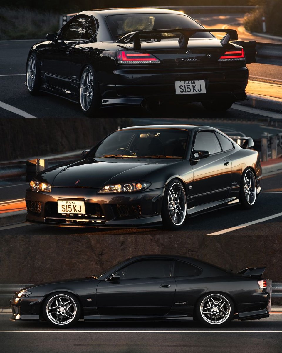 stunning silvia