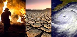 FPorado's tweet photo. This 2023, I will research more on climate change because it has a huge negative impact on the lives of people around the world.

#ResearchPaRinSa2023 #PerspectiveMatters 
SHS MOLINO PERPETUALITE RESEARCHER https://t.co/xw7k0UMwVX