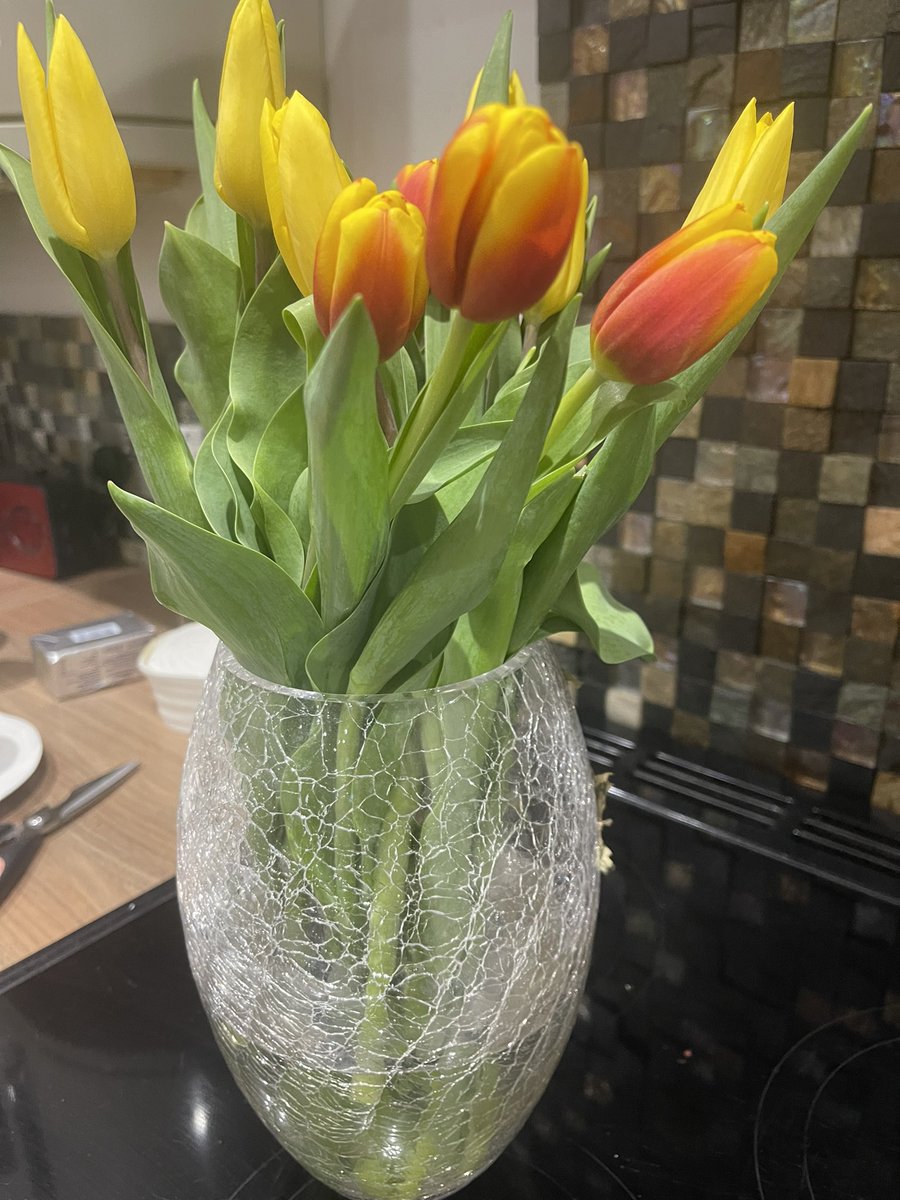 JaneLambertECG's tweet photo. Flowers and dinner cooked by hubbie last night 💙. Been a pants week (personally) so needed some #kindness like this. #BeKind #LittleThingsHelp https://t.co/DxhGEfMGZ0