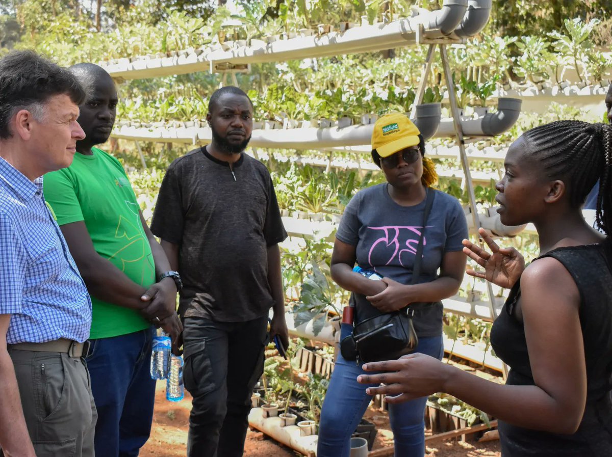 HNP_KTC's tweet image. We hosted the Tearfund team in a knowledge-sharing forum regarding the social enterprise model HNP is using to sustain WASH services in Kibera.

We are open to collaboration opportunities.

#washngo #infrustructuredevelopment  #collaboration