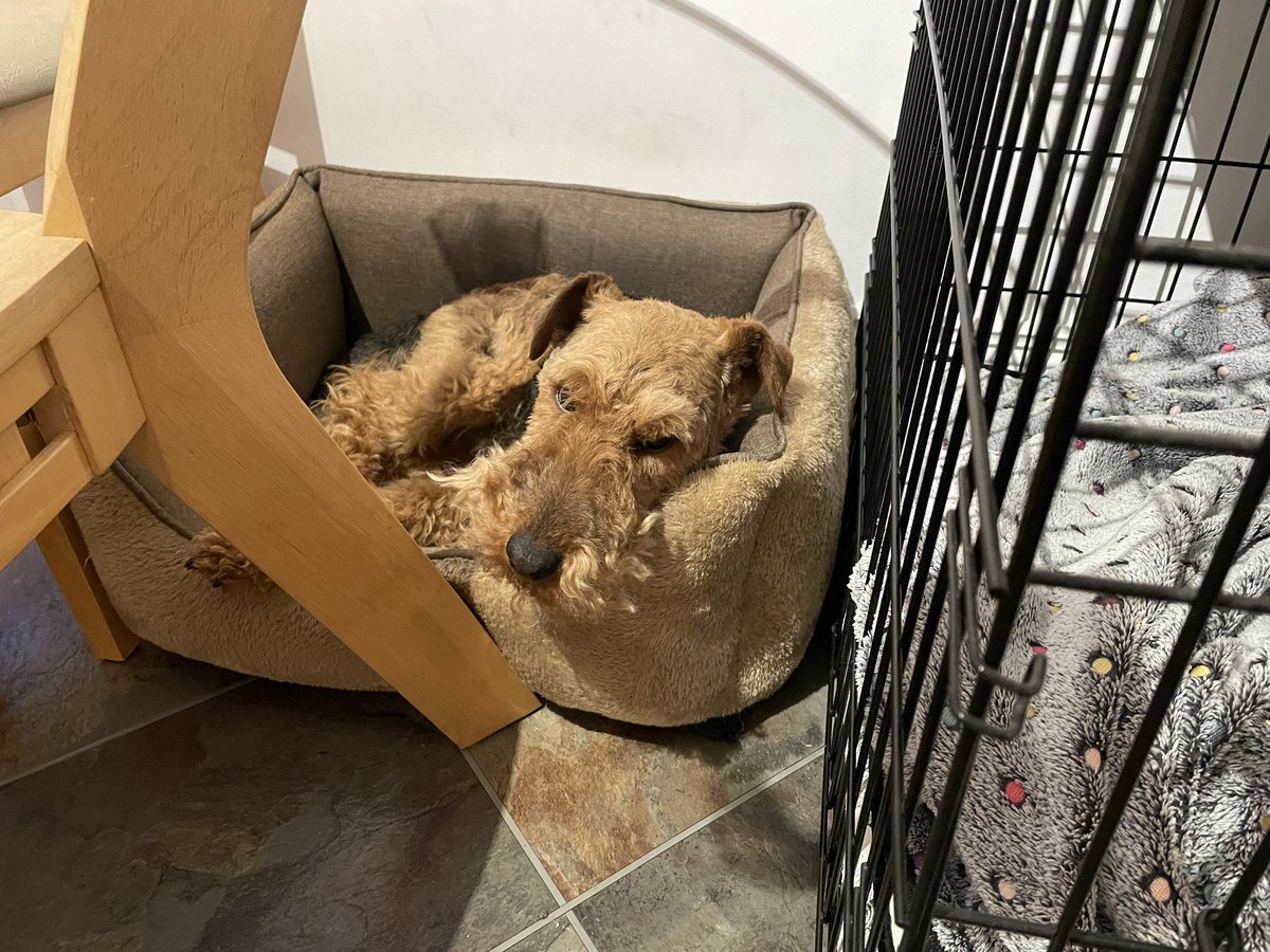 It’s Friday innit? No I ain’t gettin’ up!