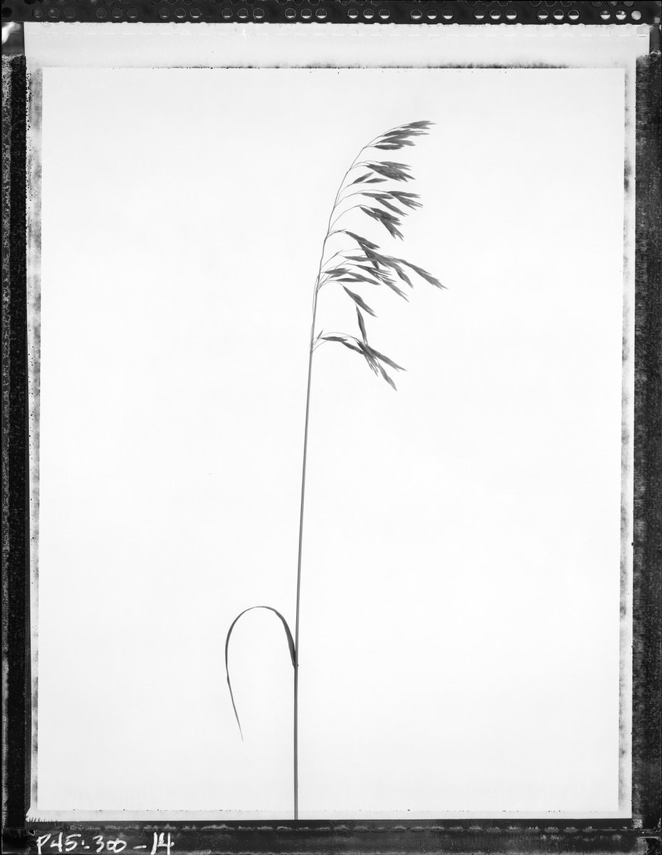 Gallery72's tweet photo. RBR G Show:  Prints, Photos  + Making Prints Activity You will see great art and you can make great art. We will use calligraphic (constructed) print making. Bring you imagination and ideas. https://t.co/6cJX1lliPf https://t.co/ApdzPSY4ih