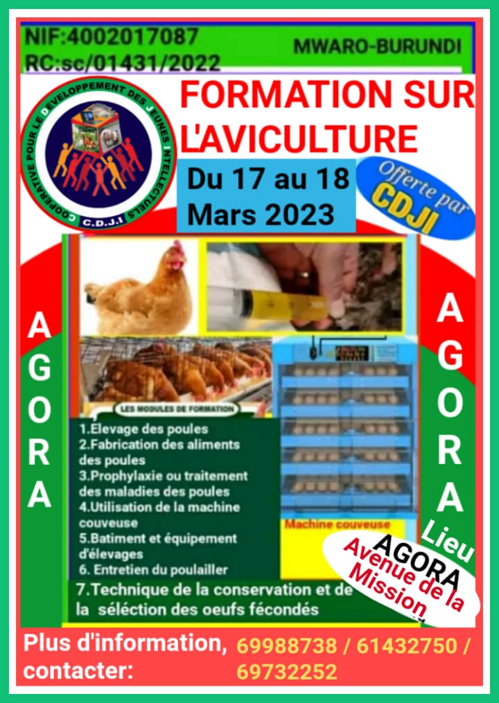 CDJI12's tweet photo. Après la formation en aviculture récemment organisée à @MwaroProvince , la coopérative pour le Développement des Jeunes Intellectuels(#CDJI), organise, via son centre d'incubation des projets, une autre formation en aviculture et culture des champignons qui aura lieu à Bujumbura. https://t.co/TgzFBnTOX3