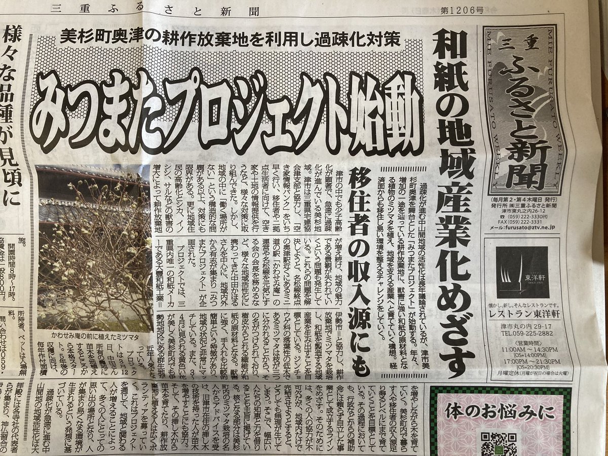 伊勢和紙 IseWashi the Japanese Paper Mill on Twitter "津市美杉町でのミツマタ栽培の