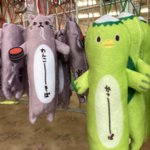 ?M丸?のツイート画像