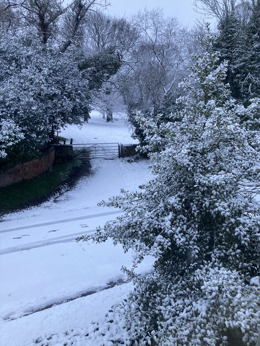 Harrogate Celebration Hire tweet media