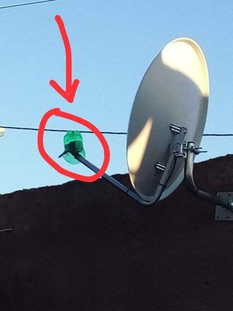 Sne tweet media
