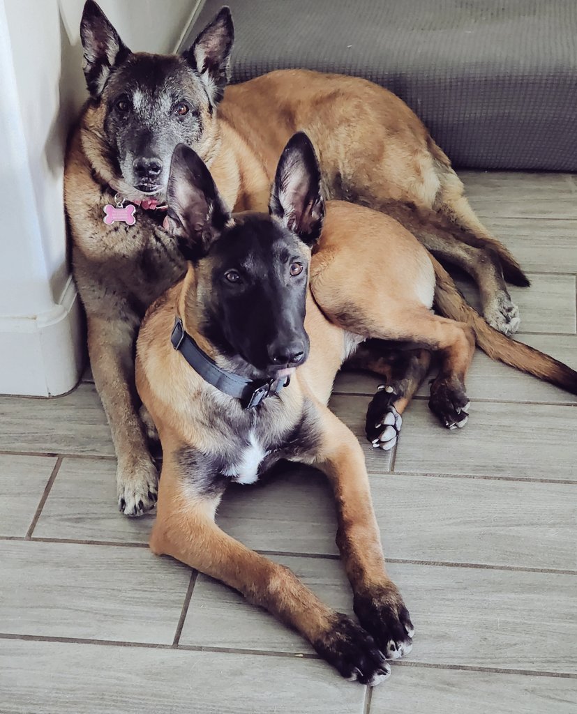 BeaudfulMe's tweet photo. Besties https://t.co/9NCMEfN3XO