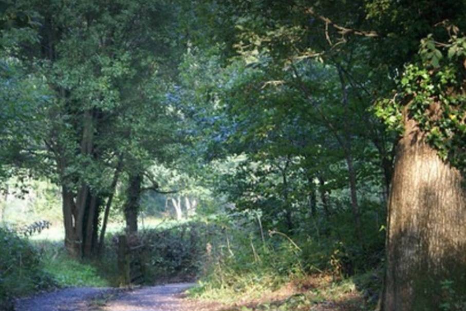 BorrowmyGarden's tweet photo. #NewListingAlert #Devon 

This organic farm shared with wildlife provides an #OutsideSpace to compliment your acoustic event. 

A two acre field has road access with many amenities including a HOT TUB!

Talk to the landowner now about your event. 

https://t.co/VwY1XZKpTs https://t.co/kov6ZWwt9v