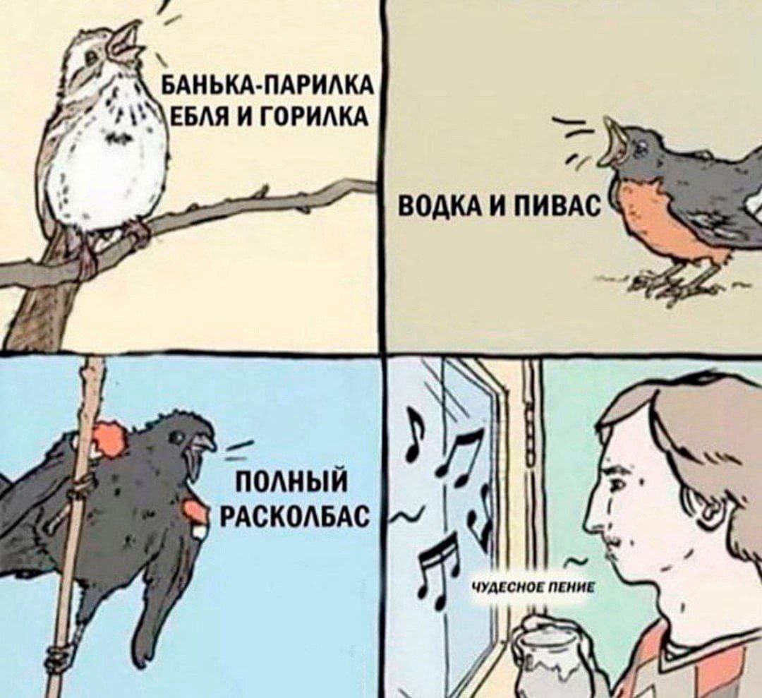 Fq1ziaZXoAAK9n4?format=jpg&name=medium