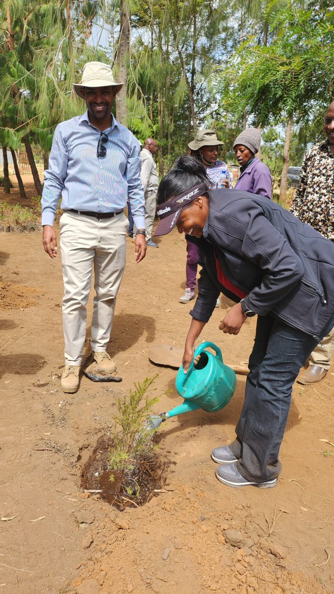 TardaKE's tweet photo. Commemorative tree planting by @TardaKE team led by the Chairman Mr. Patrick Gichohi marking the end of their visit in Nyandarua County.
# CeremonialTrees
#TreePlanting 
#DroughtMitigation
#CatchmentConservation
#Afforestration
#SouthKinangop
#NyandaruaCounty
#ClimateChange https://t.co/SnIl47ozwu