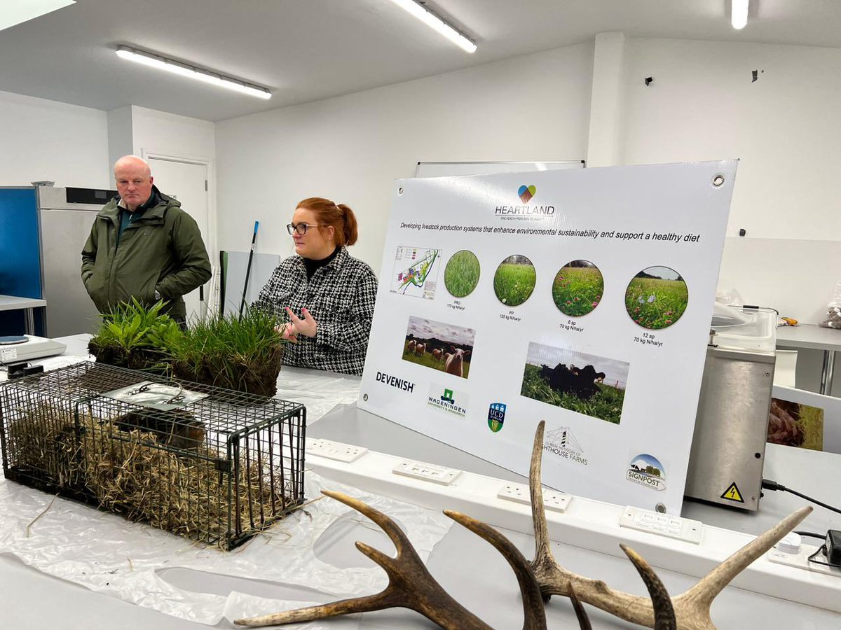 Great to visit <a href="/DevenishNutri/">Devenish</a> and learn of their sustainable practices on livestock using mixed species feeding which uses much less nitrogen, produces faster, and also allows biodiversity to resettle because of habitat recovery for endangered partridges. Beautiful