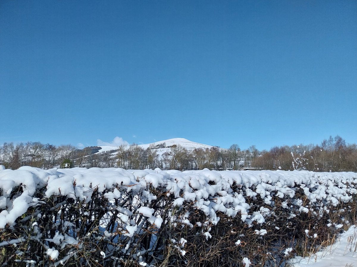 HVCLRC's tweet image. And this is just one of the reasons the library isn't open today. #TheViewFromHere #snowday #HopeValley #peakdistrict