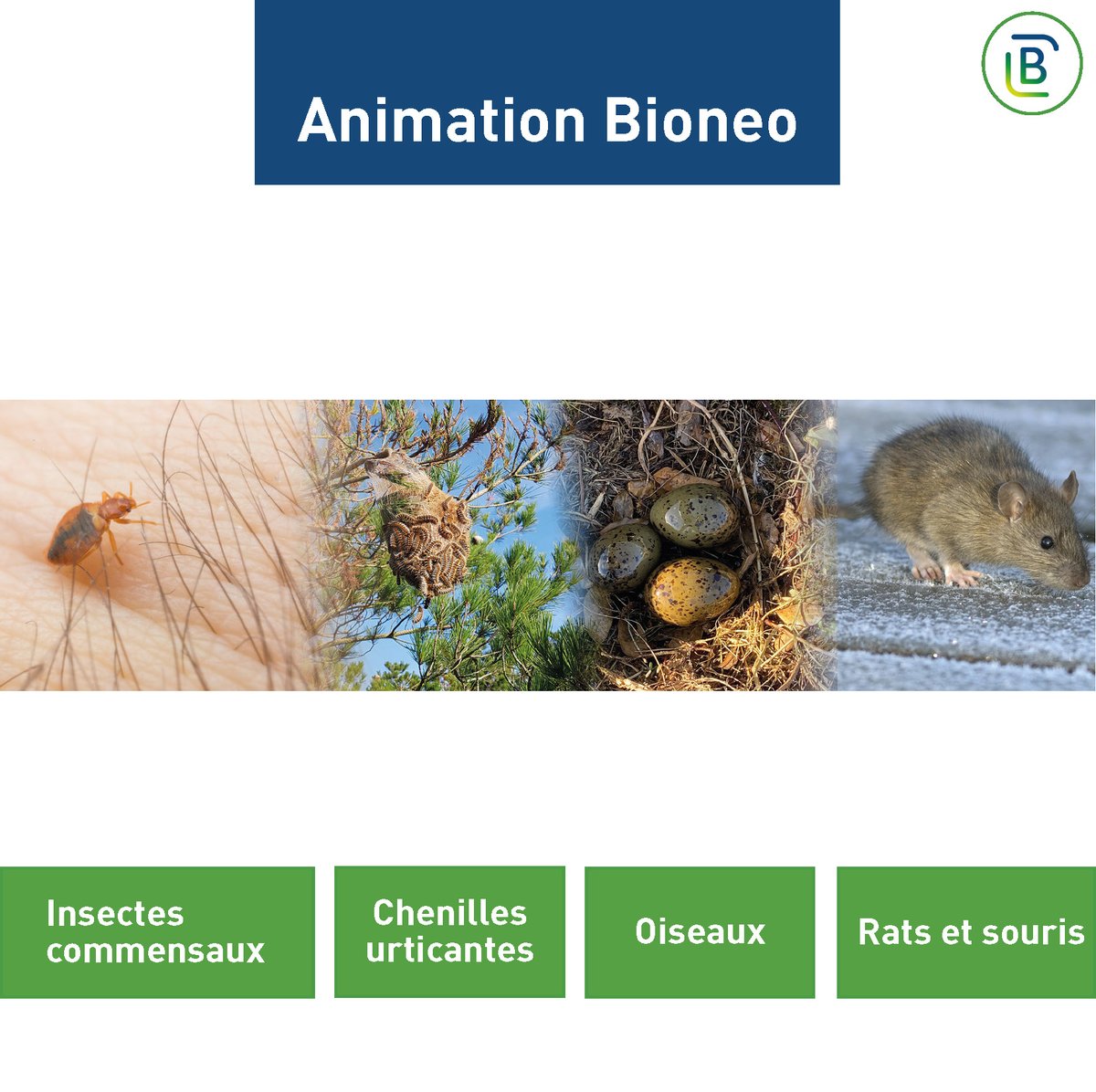 Bioneo (@bioneo_3d) on Twitter photo <a href="/Vendee_coeur/">Vendée - L'essentiel vient du cœur</a> <a href="/ccivendee/">CCI Vendée</a> Et le binôme Mélanie, conductrice maitre-chien, et Rappeur ont réalisé une démonstration de détection canine punaises de lit. Le chien a été dressé pour détecter la présence de punaises de lit grâce à son odorat particulièrement développé. <a href="/Vendee_coeur/">Vendée - L'essentiel vient du cœur</a> <a href="/ccivendee/">CCI Vendée</a> Et le binôme Mélanie, conductrice maitre-chien, et Rappeur ont réalisé une démonstration de détection canine punaises de lit. Le chien a été dressé pour détecter la présence de punaises de lit grâce à son odorat particulièrement développé.