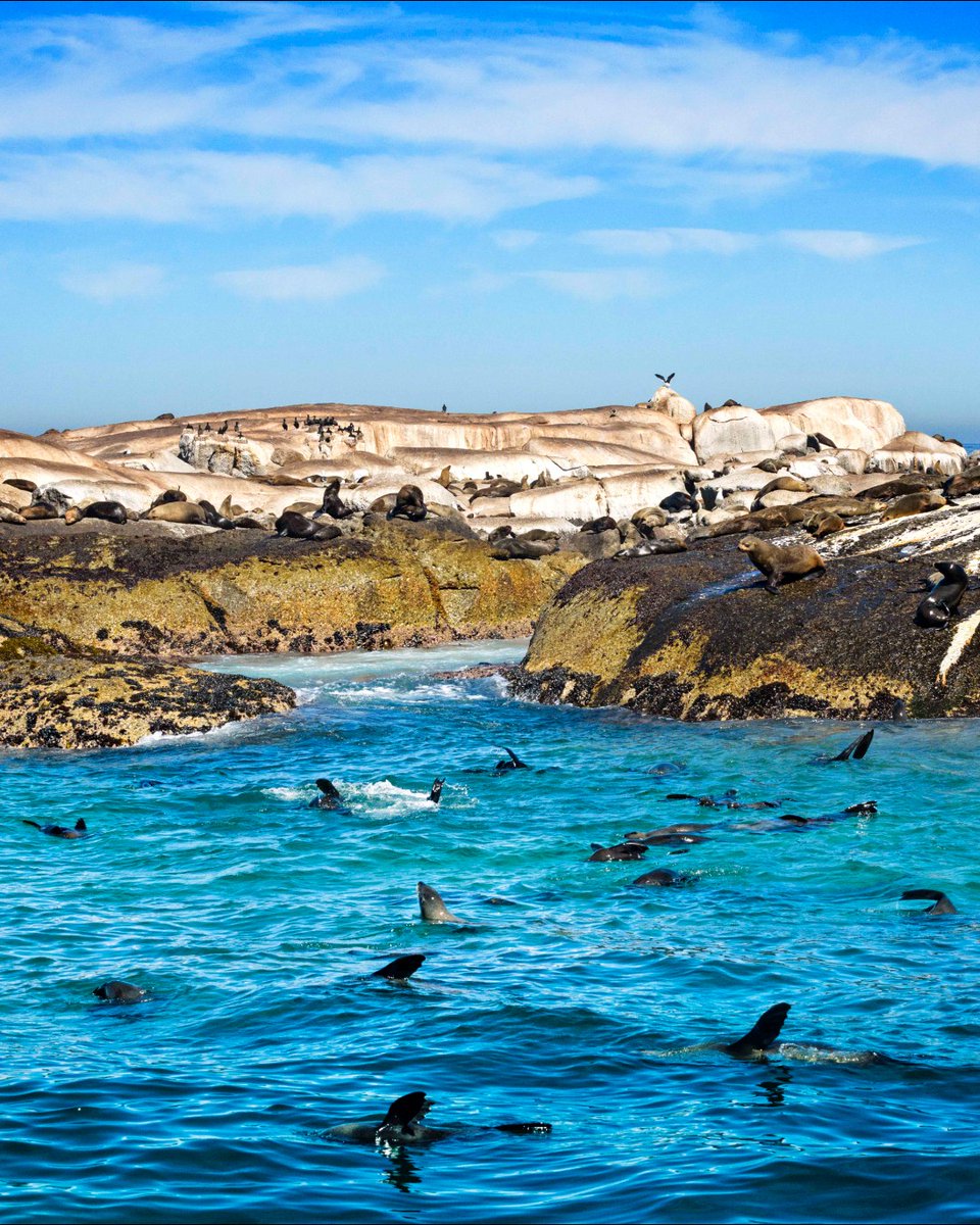 Red Carnation Hotels tweet media