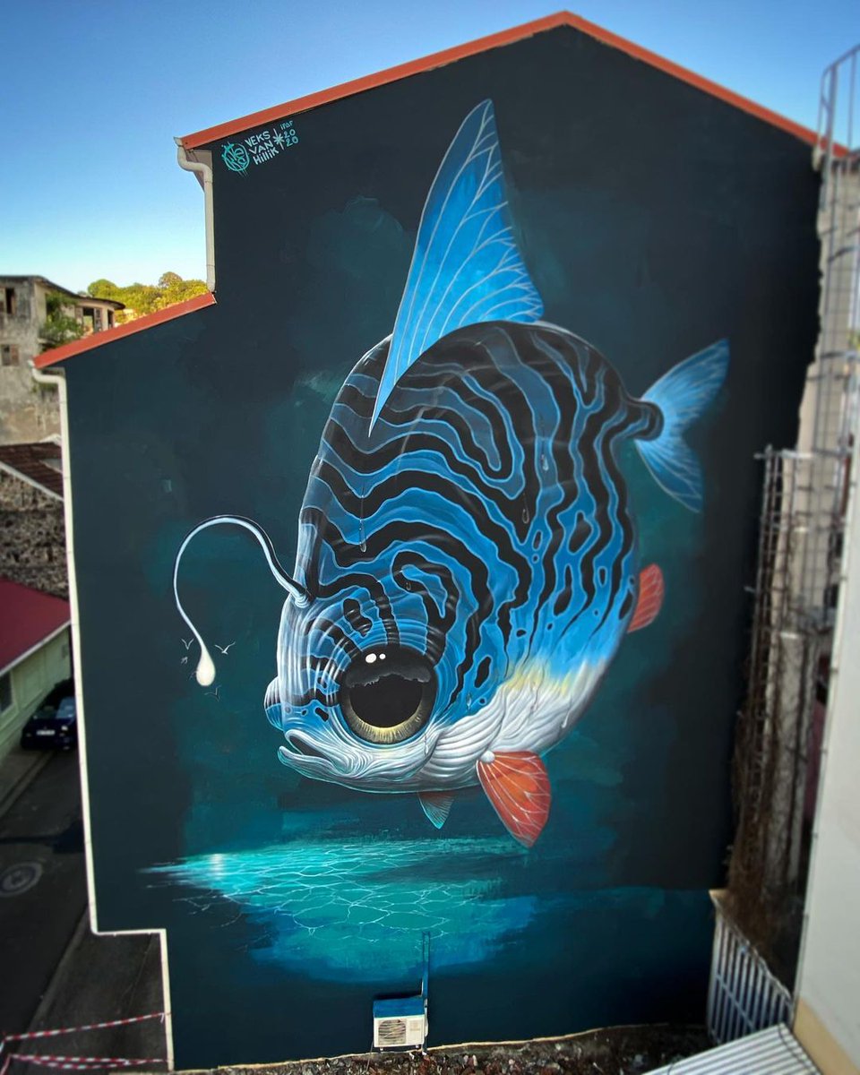 #Streetart by #VeksVanHillik @ #FortdeFrance #Martinique France for #MilmursProduction
+ pics: barbarapicci.com/2023/03/10/str…
#streetartFortdeFrance #streetartMartinique #streetartfrance #francestreetart #fish  #arteurbana #urbanart #murals #muralism #contemporaryart #artecontemporanea