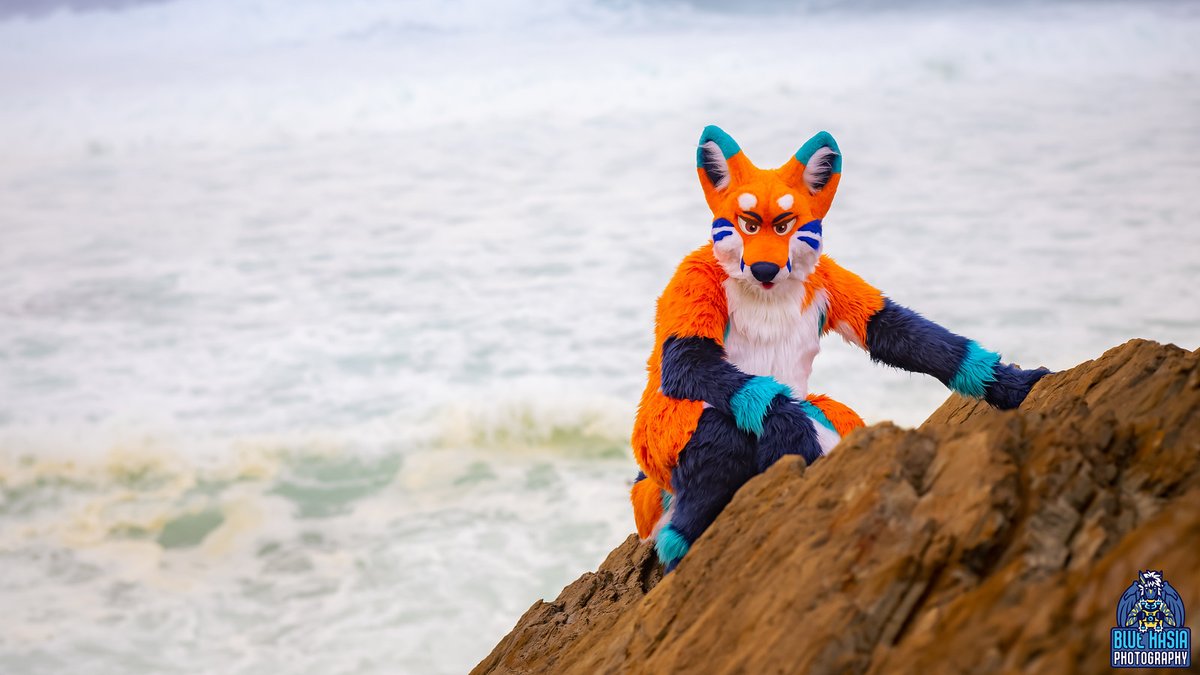 FoxCirrus's tweet photo. Yeah. I see you over there.
#FursuitFriday https://t.co/Dqya85Xilx