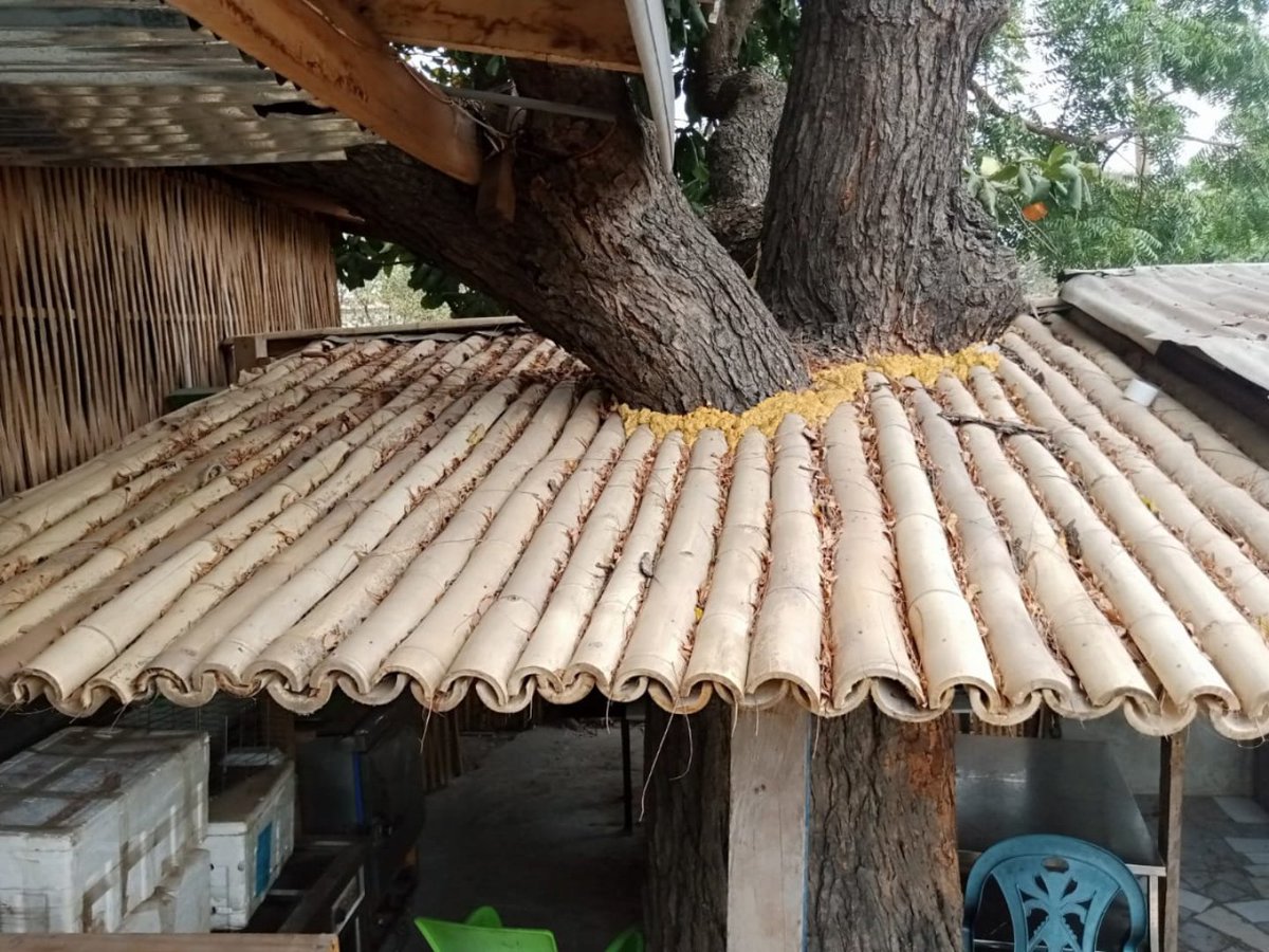 ChangEmmanuel's tweet photo. Made with Bamboo. Call or WhatsApp 0249186859 https://t.co/1Lr3E9umrq
