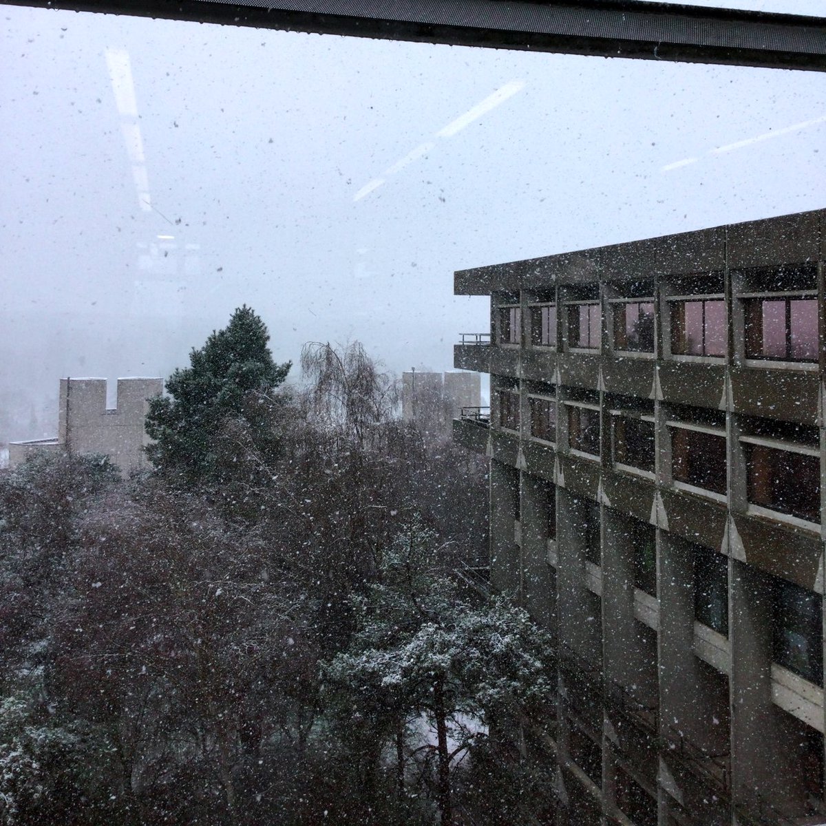 UEALibrary's tweet photo. Need somewhere to get cosy in all this snow?ย
Head on over to the Library! We're open 24/7 with heating, plus we have blankets available to borrow on Floor 0. This is just the weather to cosy up with a good book ๐โ๏ธ
#UEALibrary #UEA #StudentLife #SnowDay #CosyLibrary https://t.co/qty8DfHXsI