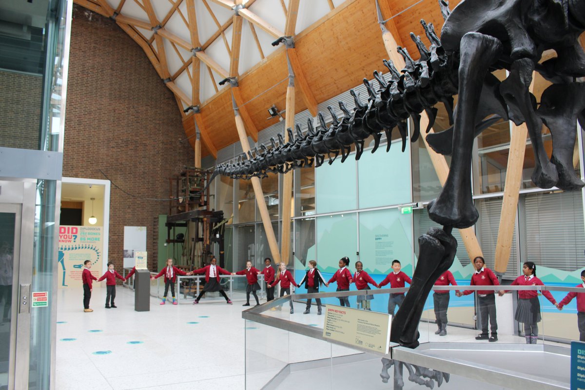 CovMuseumsLearn's tweet photo. We are having a fantastic day @The_Herbert with @SaintOsburgs for #TheWildEscape. Throughout the day children are discovering facts about Dippy, habitats, climate change and how to make urban landscapes greener - all with art and creativity embedded too! @artfund @IGSD_Shef https://t.co/wdhfqYaqJt
