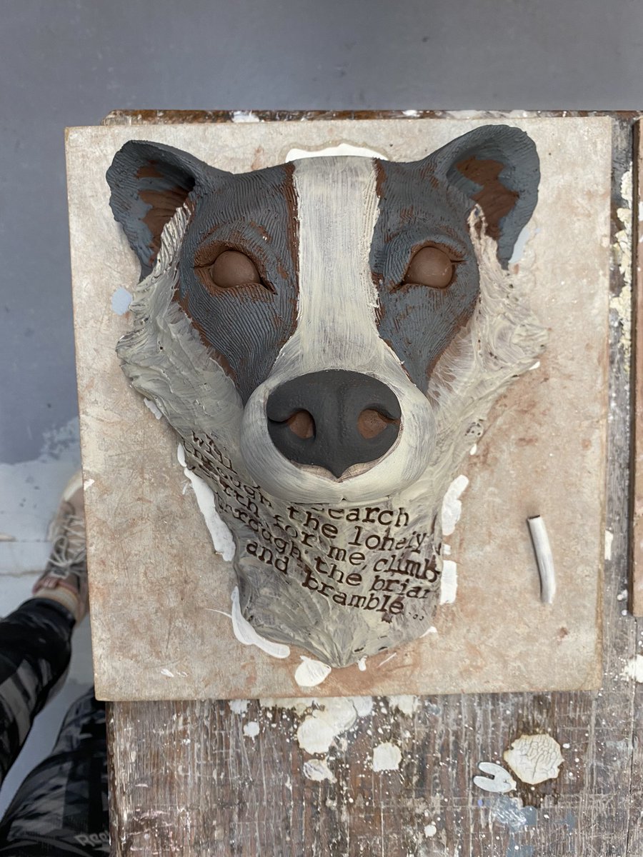 Abbie Sunter tweet media