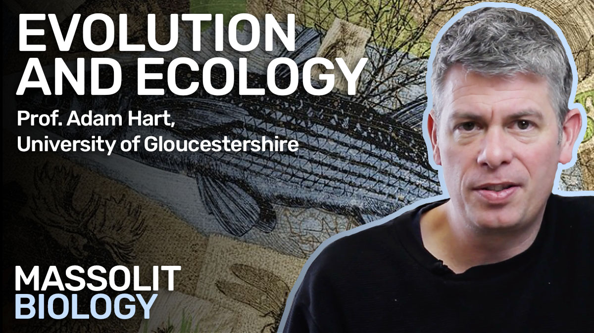 massolit's tweet photo. Brand new for #Biology Prof. Adam Hart discusses various topics within evolution and ecology. Including natural &amp; artificial selection, the species problem, biodiversity and more!

Check it out: https://t.co/TvGF3WWfJX https://t.co/CP3Tm49nIx