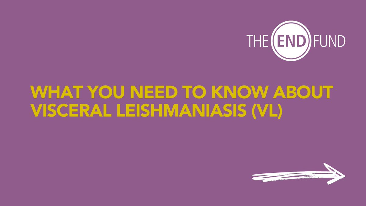 TheENDFund's tweet photo. Visceral leishmaniasis causes fever, weight loss, spleen and liver enlargement, and, if not treated, death. VL investment in Africa has for many years been ripe for improved investment with massive impact potential in terms of lives saved. Learn more at https://t.co/IT1WPc3iNj https://t.co/BsjyT8ULC6
