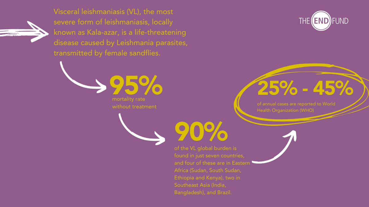 TheENDFund's tweet photo. Visceral leishmaniasis causes fever, weight loss, spleen and liver enlargement, and, if not treated, death. VL investment in Africa has for many years been ripe for improved investment with massive impact potential in terms of lives saved. Learn more at https://t.co/IT1WPc3iNj https://t.co/BsjyT8ULC6