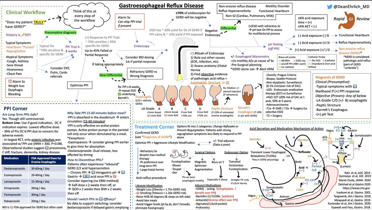 Gastroesophageal Reflux Disease

▪️Not all heartburn = GERD
▪️DDx for heartburn &amp; regurg
▪️EGD: 👀 objective GERD findings
▪️pH testing (OFF PPI)
▪️Objective dx of GERD
▪️Acid suppression (PPI, H2RA, etc)
▪️Lifestyle modifications
▪️🔪 options
▪️GERD pathophysiology

#GITwitter