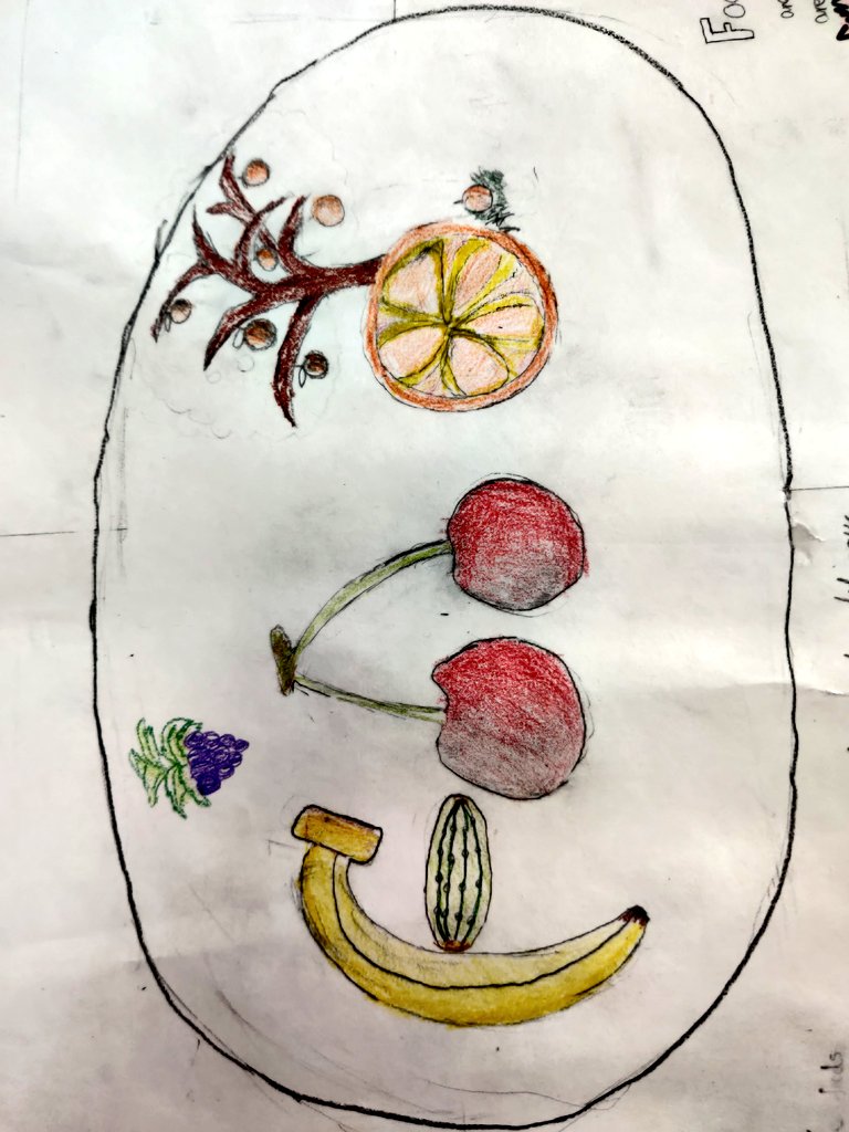 sasdart's tweet image. Applying our understanding of the #SDGS to our unit of #inquiry #whatsonthemenu? #IPC @SDG2030