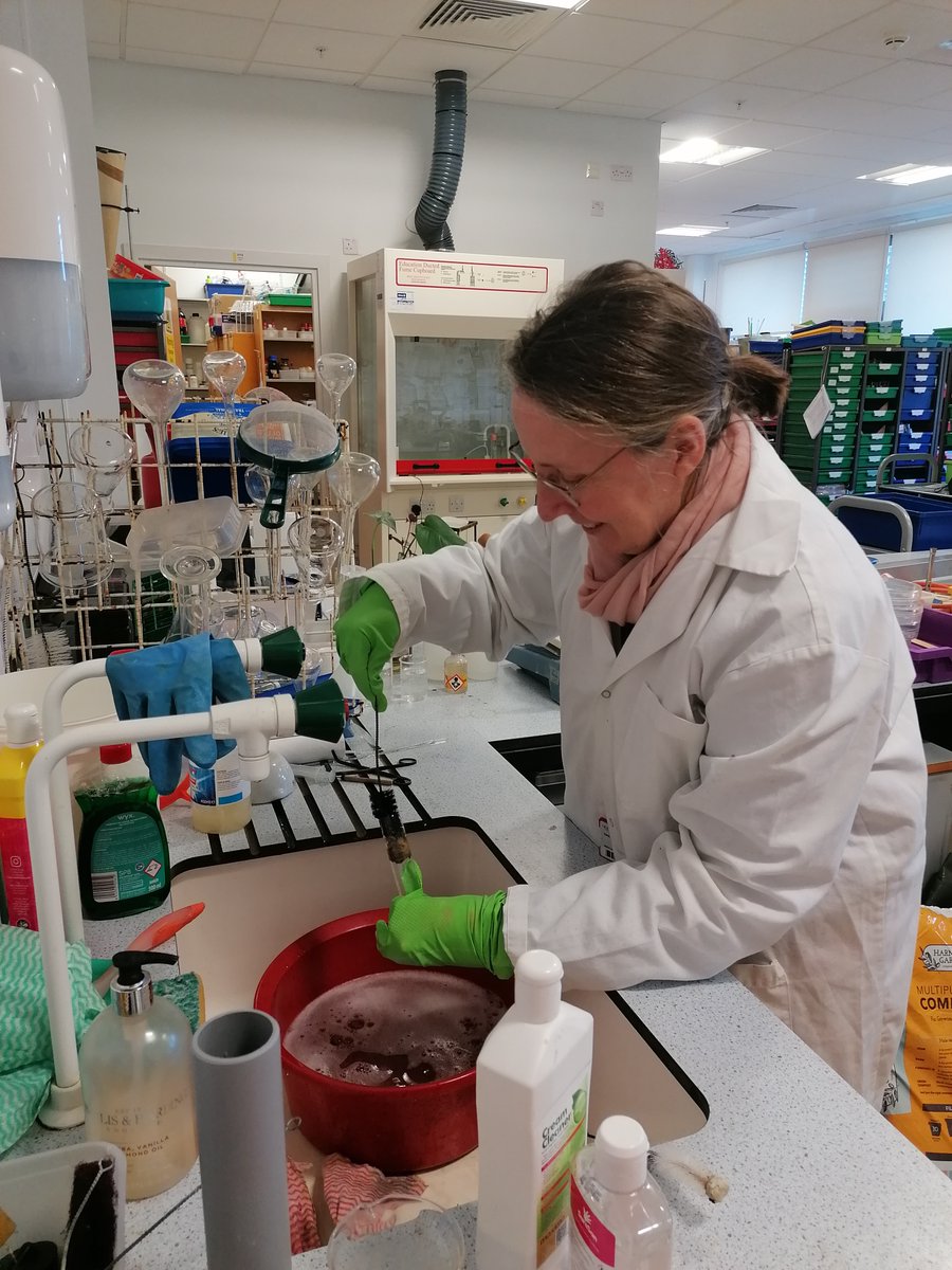 EdinburghTechs's tweet photo. Just a wee gallery of what our tech team does on a day to day basis: dissections, glass rod and cleaning up!
#TECHOGNITION @TECHOGNITIONUK #sciencetechnicians #techniciansmakesciencework https://t.co/vNeDfiEq0C