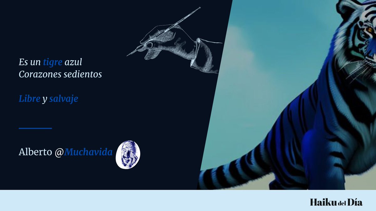 Es un tigre azul
Corazones sedientos 

Libre y salvaje
 
#HaikuDelDía #haiku #haikufeels