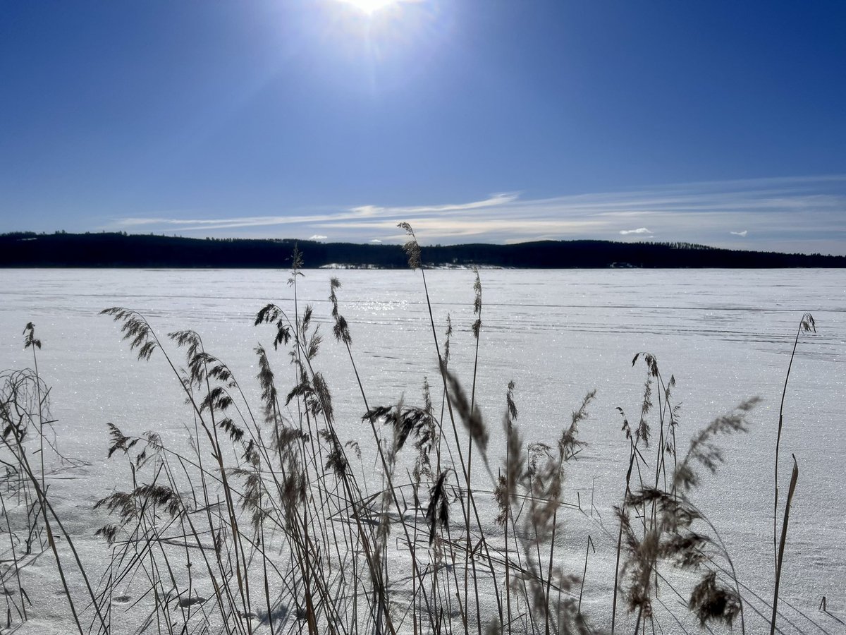 Kalle Juan Wiklund tweet media