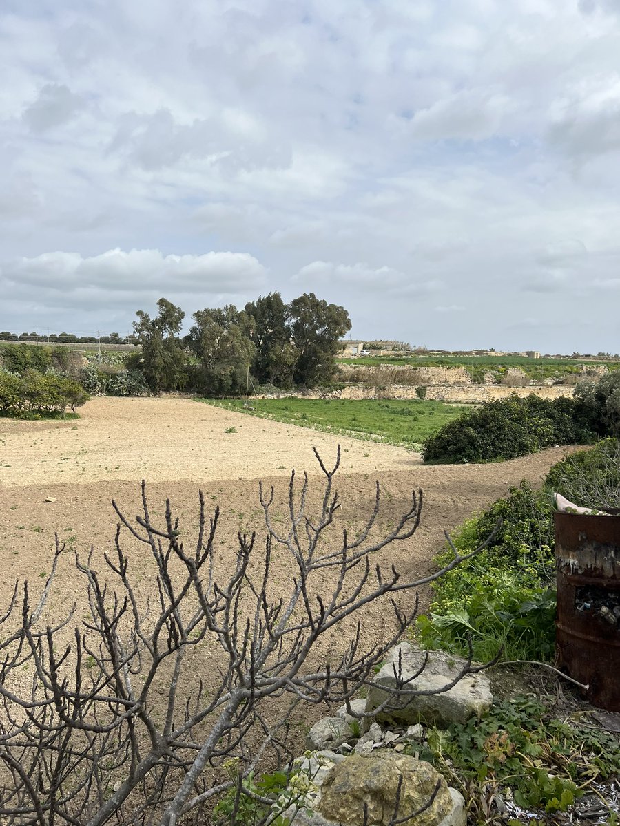 elluljonathan's tweet photo. About last Sunday 🧑‍🌾🌾🐈 https://t.co/SWvf3W6L2I
